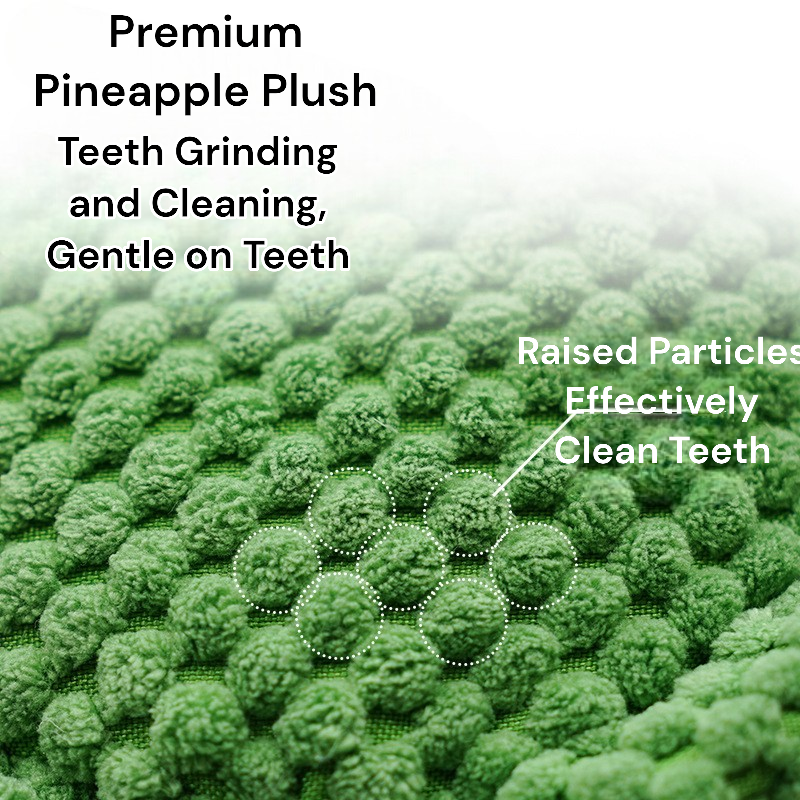 Durable Chew and Teeth Cleaning Pet Toy