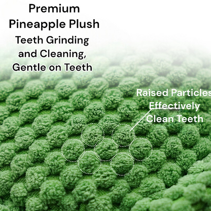 Durable Chew and Teeth Cleaning Pet Toy